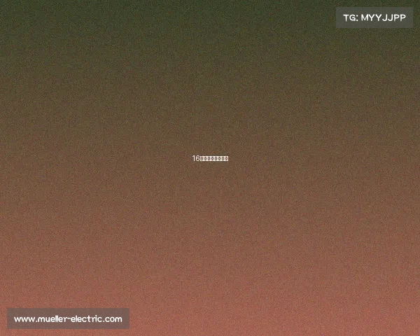 16岁打电竞有机会吗 16岁打电竞有机会吗