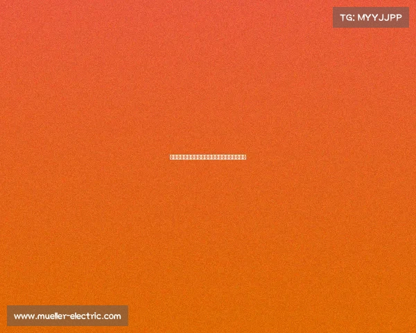 《指尖战场的追梦人:解码电竞选手的职业密码》 《指尖战场的追梦人:解码电竞选手的职业密码》