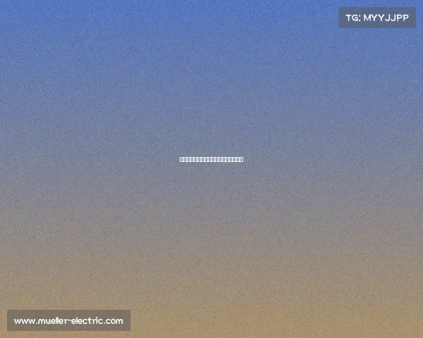 《她力量破圈:电竞新赛道的性别叙事》 《她力量破圈:电竞新赛道的性别叙事》