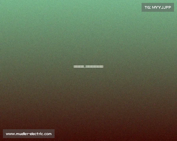 夜光漂电子竞技_夜光漂和电子漂有什么区别