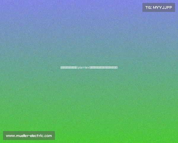 宁波有电子竞技俱乐部吗(plaintext电竞新势力崛起，宁波已成俱乐部聚集地)