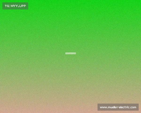 把电竞游戏作为职业